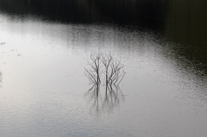 칠갑저수지, 칠갑전망대, 목재문화체험장으로의 여행, 대표이미지
