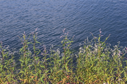 칠갑저수지 풍경