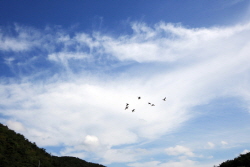 칠갑저수지의 풍경2