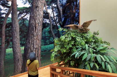 숲에 온 것 같은 느낌을 주는 나무사진 벽과 설치물