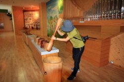 다양한 방식으로 나무를 체험하는 모습2