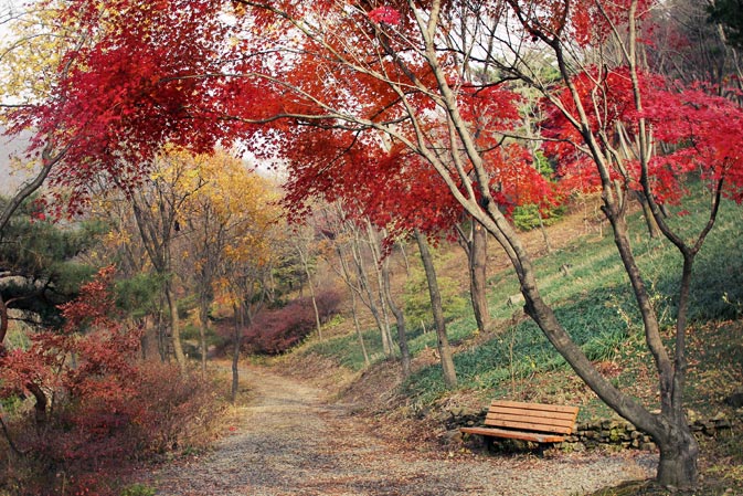  가을 오솔길과 벤치