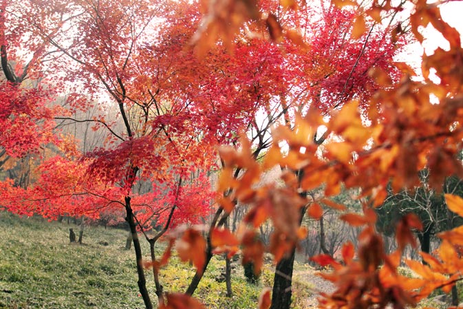  가을 풍경의 식물원2 