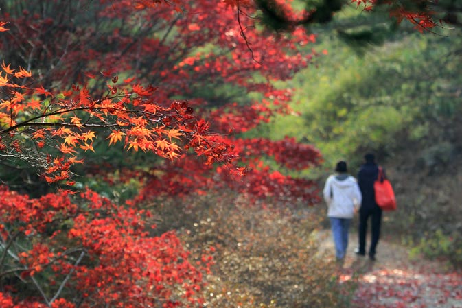 고운식물원을 걷고있는 관람객들