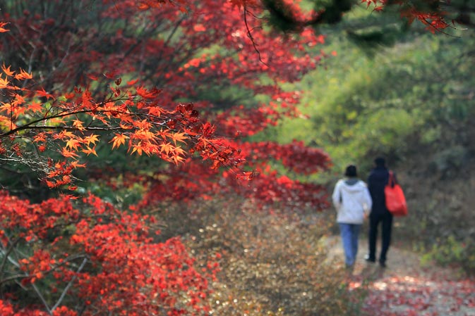 고운식물원을 걷고있는 관람객들