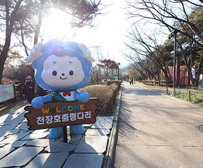 천장호 출렁다리