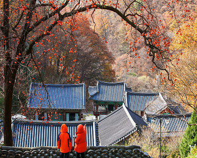 장곡사 이미지 2