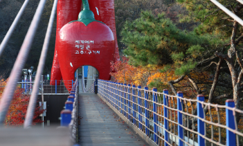 천장호 출렁다리