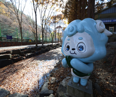 칠갑산자연휴양림