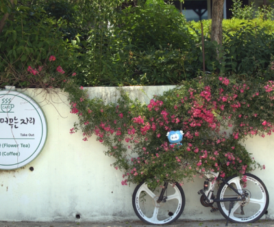 꽃이 머무는 자리