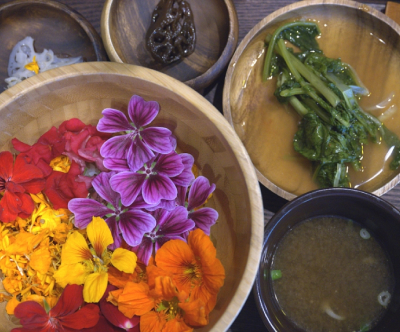 꽃이 머무는 자리