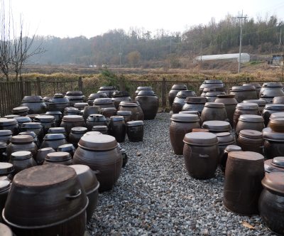 청양둔송구기자주(청양구기자주)