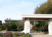 Biệt thự nhà vườn