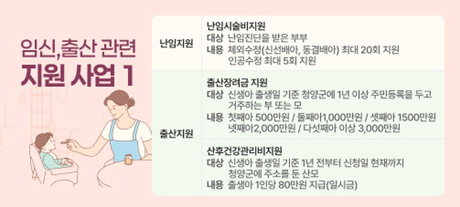 임신,출산 관련 지원 사업 1
