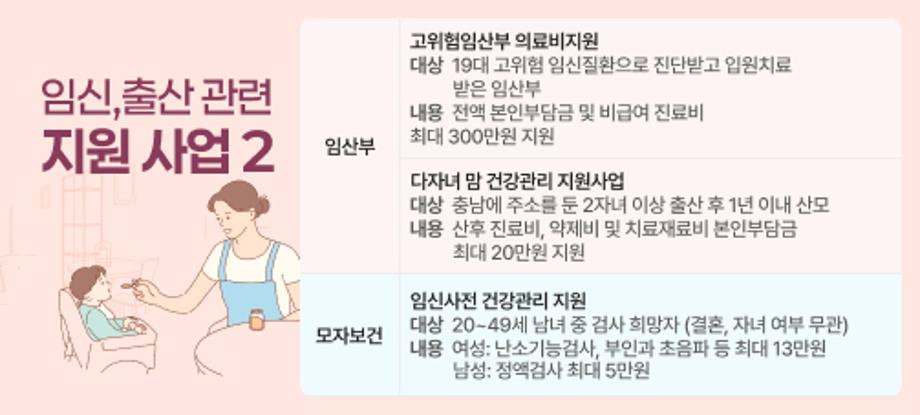임신,출산 관련 지원 사업 2