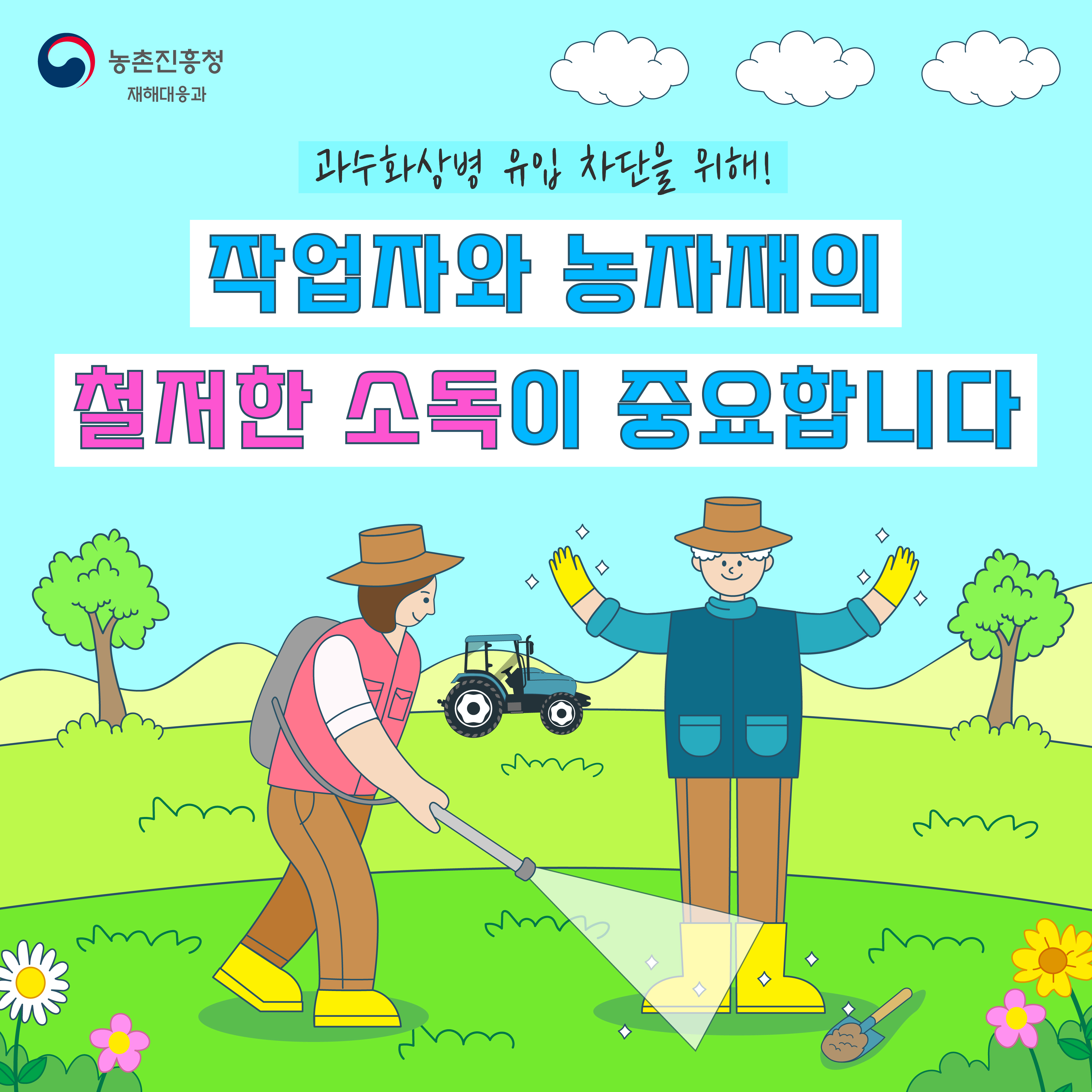처음 보는 상추네~ ‘쌈부터 샐러드까지’