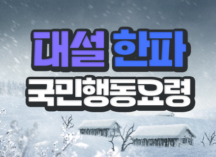 대설한파 국민행동요령