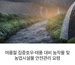 여름철 집중호우·태풍 대비 농작물 및 농업시설물 안전관리 요령