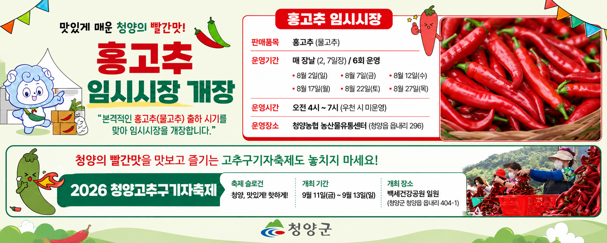 맛있게 매운 청양의 빨간맛! 홍고추 임시시장 개장
“본격적인 홍고추(물고추) 출하 시기를 맞아 임시시장을 개장합니다.”

홍고추 임시시장 / 판매품목: 홍고추(물고추) / 운영기간: 매 장날(2, 7일장), 6회 운영 / 운영일: 8월 2일(일), 8월 7일(금), 8월 12일(수), 8월 17일(월), 8월 22일(토), 8월 27일(목) / 운영시간: 오전 4시~7시(우천 시 미운영) / 운영장소: 청양농협 농산물유통센터(청양읍 읍내리 296)

청양의 빨간맛을 맛보고 즐기는 고추구기자축제도 놓치지 마세요! / 2026 청양고추구기자축제 / 축제 슬로건: 청양, 맛있게! 핫하게! / 개최 기간: 9월 11일(금)~9월 13일(일) / 개최 장소: 백세건강공원 일원(청양군 청양읍 읍내리 404-1) / 청양군